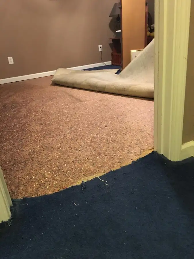 Carpet pad removal revealing water damage during Drying & Dehumidification in Independence