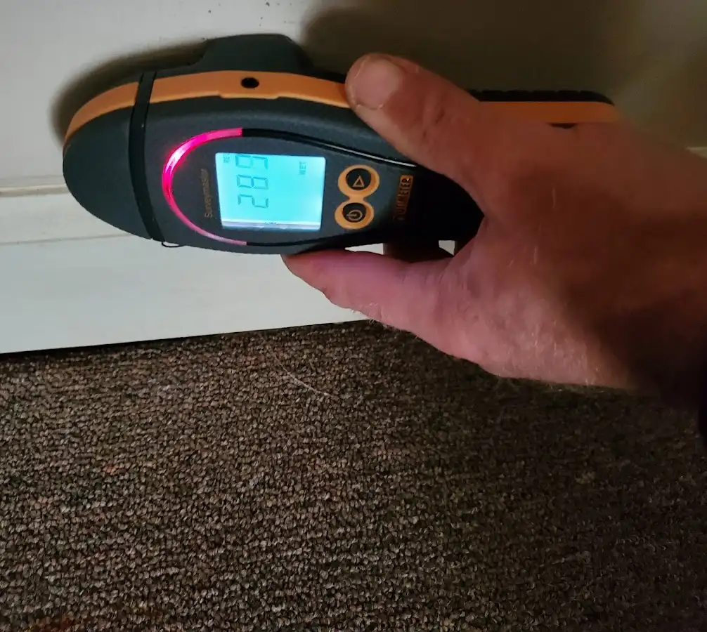 Moisture detection at baseboard during Sewage Cleanup & Sanitation in Independence